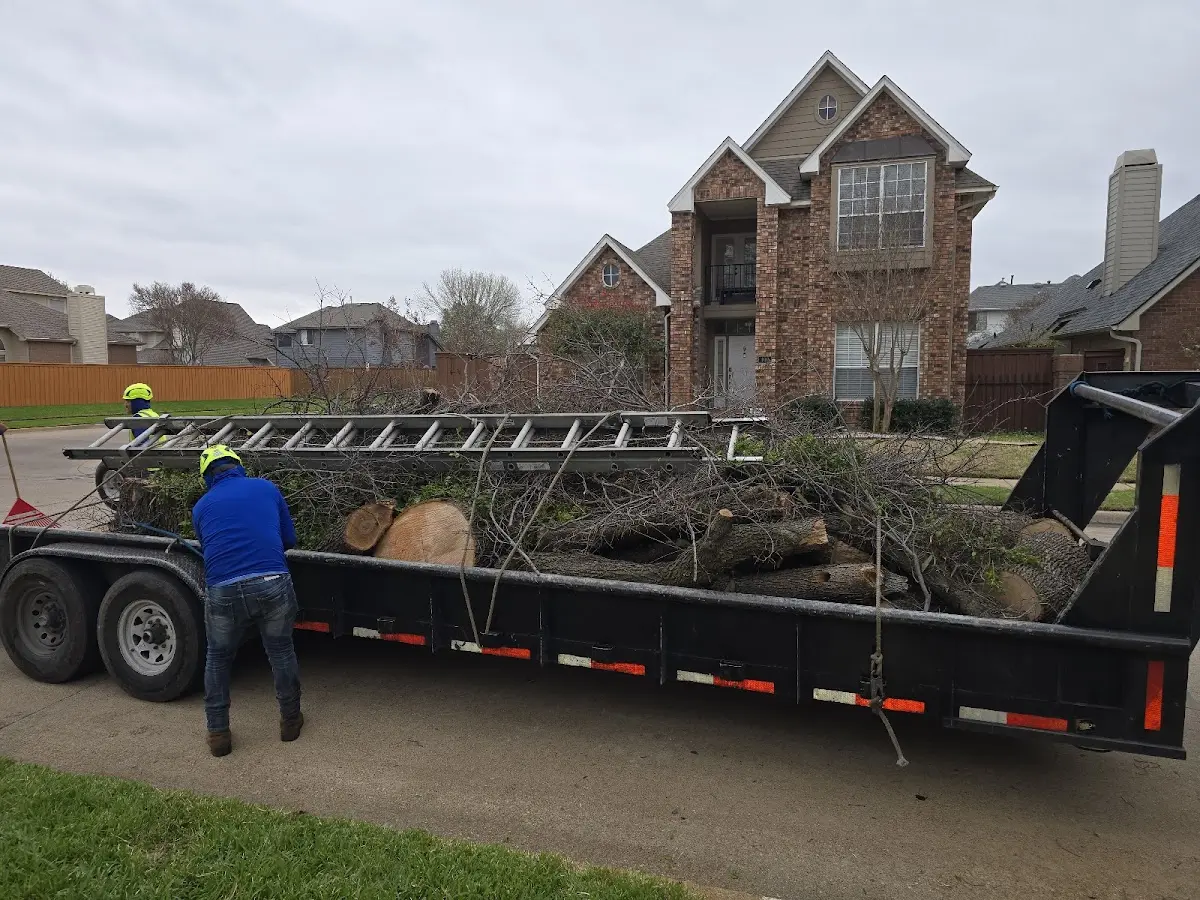 Expert Tree Fertilization with proper safety equipment in Mc Grady